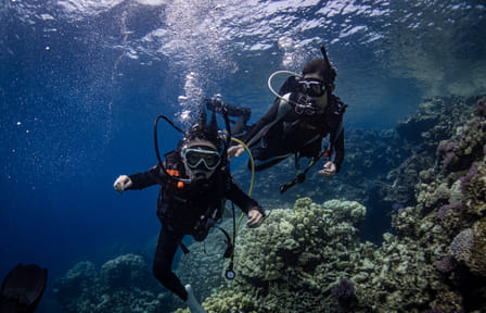 Scuba Diving Adventure in Jeddah's Red Sea Waters