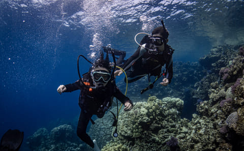 Scuba Diving Adventure in Jeddah's Red Sea Waters