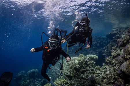 [Certified Only] Scuba Diving Boat Trip