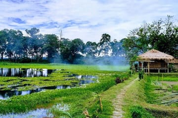 Private Tour of Assam Tea Estates and Rainforest in Dibrugarh