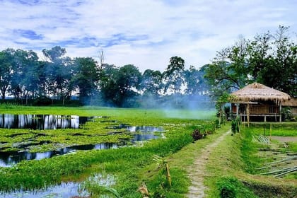 Private Assam Tea Estate, Rain Forest and River Island Tour