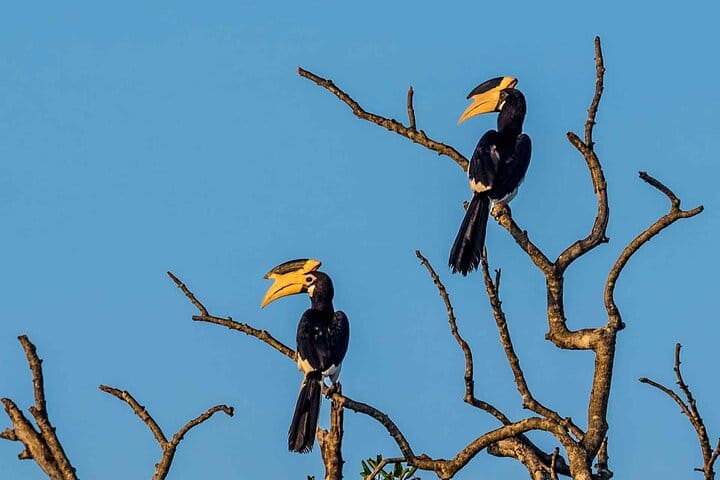 Kumana National Park Full Day Safari from Arugam Bay 7