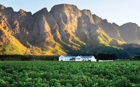 Franschhoek Wine Tram Hop-On Hop-Off Tour from Cape Town