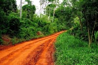 Jungle Fly - Adventure at the Jungle