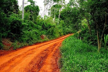 Jungle Fly: Adventure at the Jungle in Iguazu