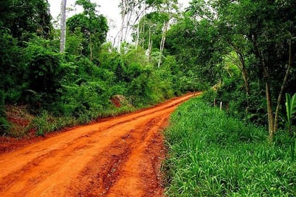 Jungle Fly: Adventure at the Jungle in Iguazu