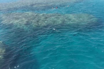 Full-Day Snorkeling Tour at Dolphin House National Park, Hurghada