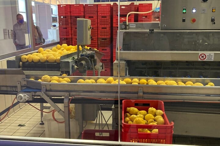 Sightseeing Tour of Napoli