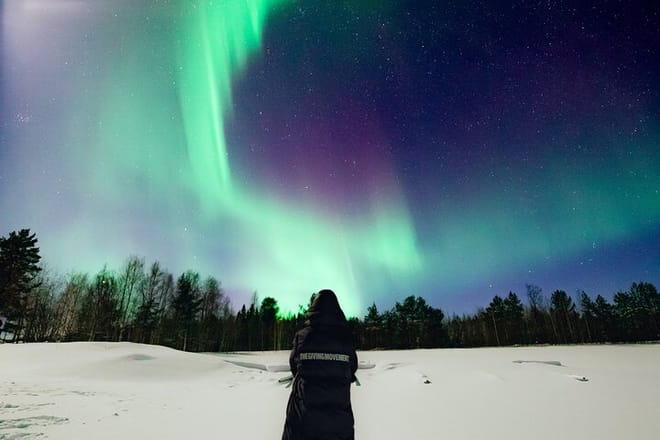 Rovaniemi: Northern Lights Group Tour - Guaranteed View 
