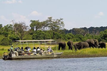 Chobe National Park half-day adventure from Victoria Falls