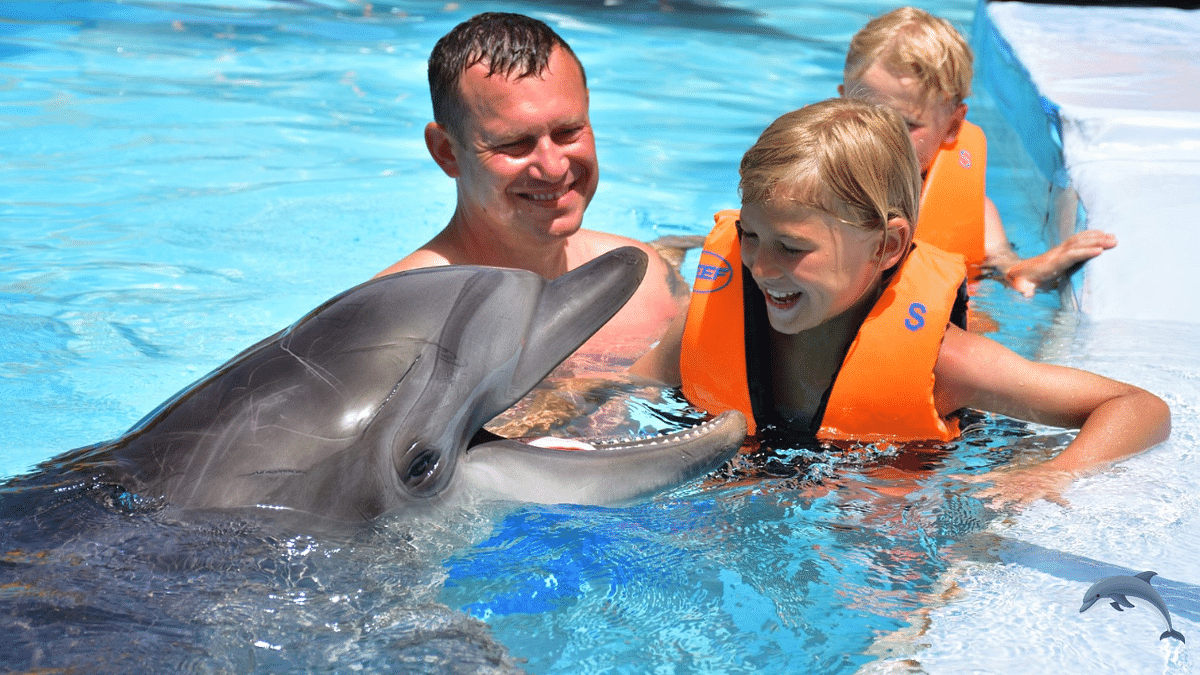 Dolphin Show & Interactive Swimming Experience in Hurghada