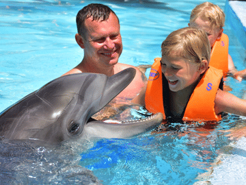Dolphin Show and Swimming Experience in Hurghada