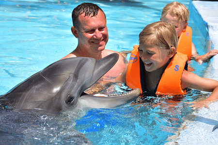 Dolphin Show & Interactive Swimming Experience in Hurghada