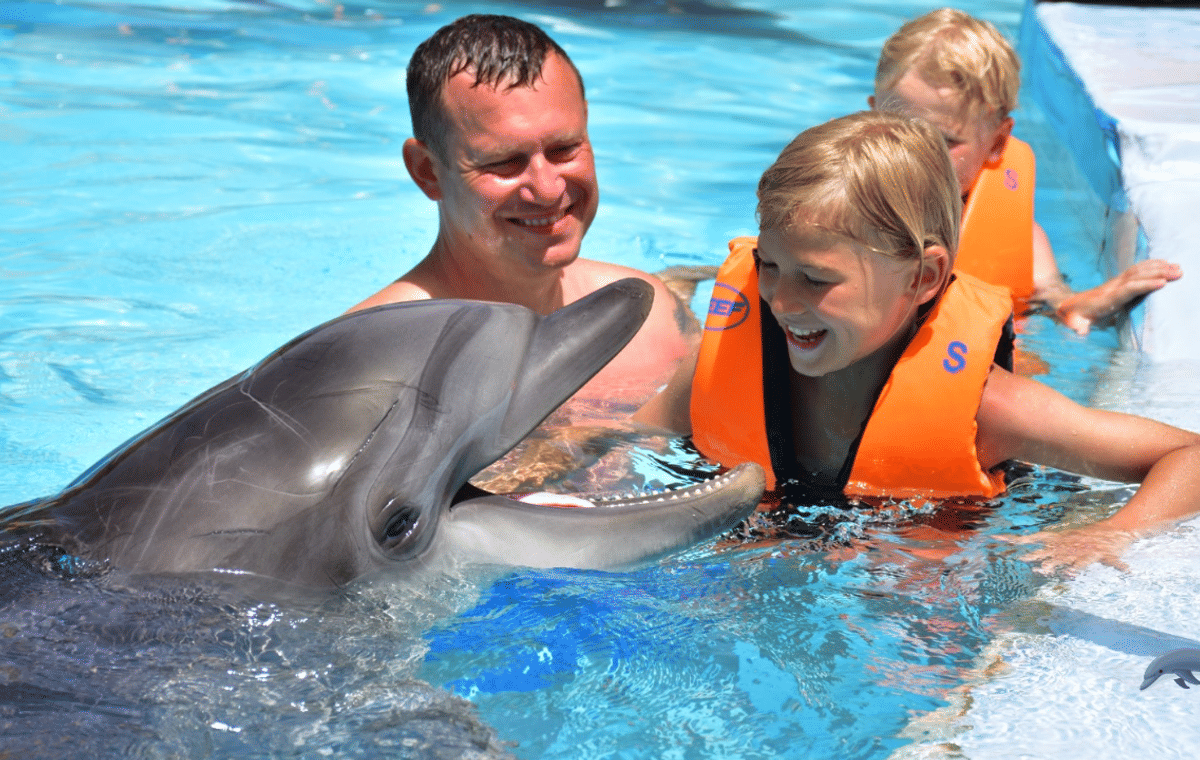 Dolphin Show and Swimming Experience in Hurghada