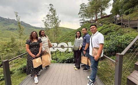 Cameron Highlands Mossy Forest Day Tour from Ipoh with Lunch