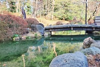 Nikko Private Tour Return by Bullet Train 7