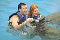 Riviera Maya-Puerto Aventuras Manatee Encounter  4
