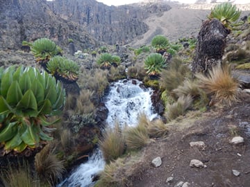 Mount Kenya trekking, Sirimon-Naromoru Route