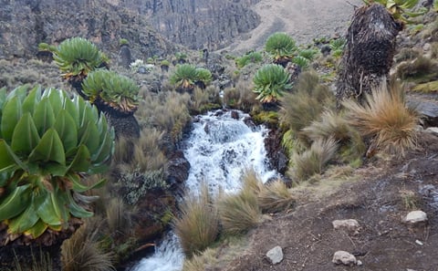 Mount Kenya trekking, Sirimon-Naromoru Route