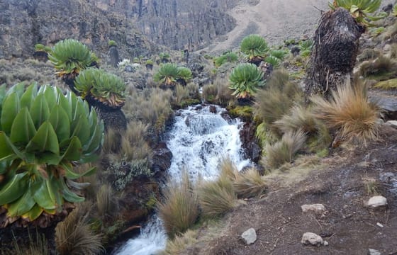 Mount Kenya trekking, Sirimon-Naromoru Route