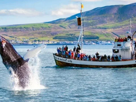 Private Nature Lovers Tour from Akureyri, photo 6