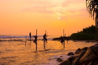 3 Day Pasikudha Tour from Dambulla 3