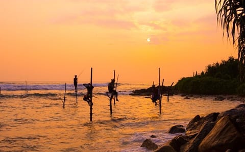 3-Day Adventure Tour to Pasikudha from Dambulla
