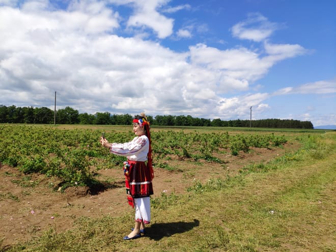 Visit to Lavender Fields & Lavender Oil Extraction Demo 5