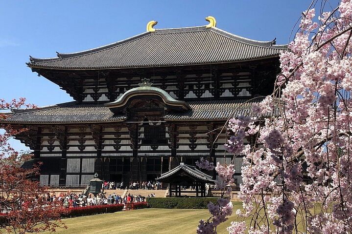 Discover Nara Park: A Day with Deer and Ancient Temples