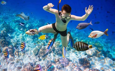 Orange Bay Island Adventure Tour from Hurghada, Egypt
