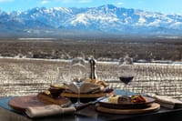 Vineyards