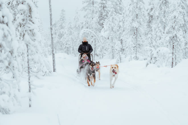Rovaniemi: Insider 10 km Husky Self‑Drive Adventure