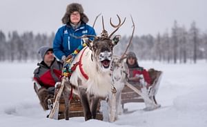 Reindeer farm and short reindeer safari 400 m, Rovaniemi