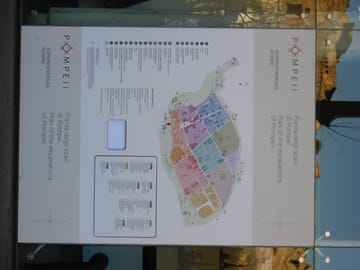 <p>Map of Pompeii</p>