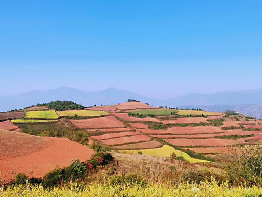 Private Day Tour to Red Land in Dongchuan from Kunming
