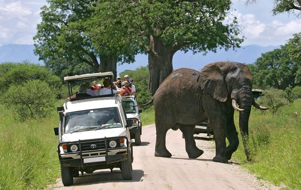 Two-Day Safari Experience in Amboseli National Park from Nairobi