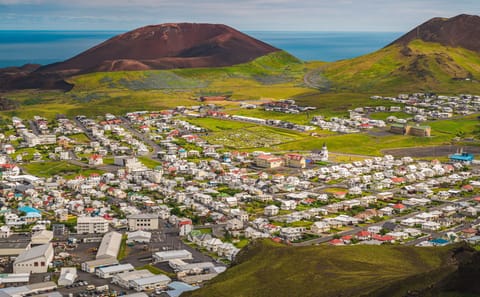 Private Day Tour of the Westman Islands from Reykjavík