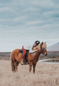 Date the Icelandic Horse