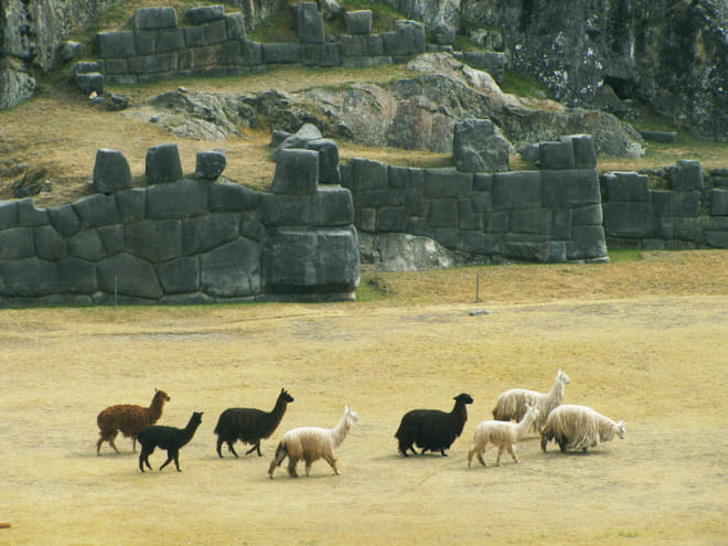 Peru Travel to the Ancient Kingdoms 7 days 7
