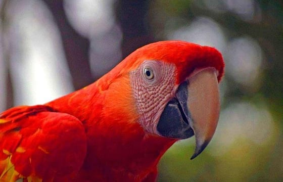 Mayan Eden Eco Park Tour, City Tour & Transfer