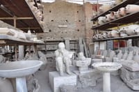 Pompeii, Sorrento and Positano - Private Tour 7