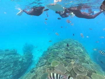 Snorkeling Adventure at Minna, Sesoko, or Motobu in Nago