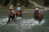 Marmaris: Horse Riding Experience with Transfer 4