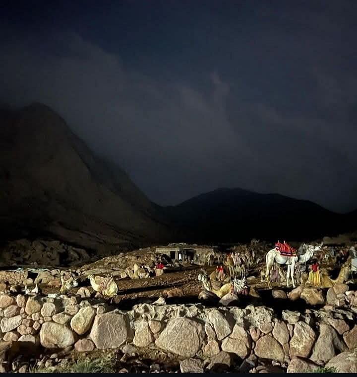 Luxor: Valley of Kings, Hatchepsut Temple ,Karnak & Luxor-DayTour