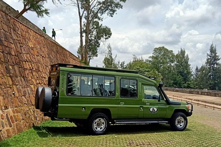 1-Day Gorilla Tracking at Volcanoes from Kigali