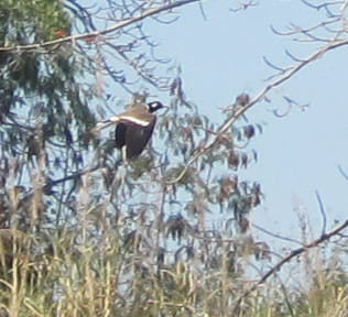 Chiang mai Suthep National Park Leisure Hiking & Mountain Biking