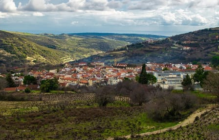 Troodos Grape Escape Tour from Larnaca: Wineries and Villages