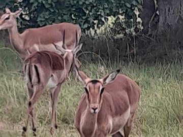 6-Day Garden Route Tour from Cape Town to Beaufort West