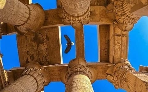 Private Cultural Tour of Luxor and Karnak Temples