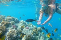 Abu Munkar Island trip by a speed boat Hurghada